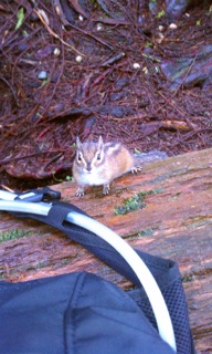 Photograph: "Hey! Down Here" by Tara Farquhar