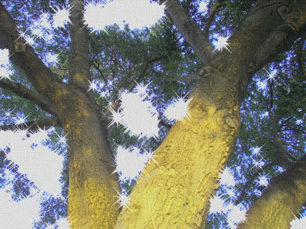 Photography, digitally altered: "Somewhere Out There" by Lani Longshore