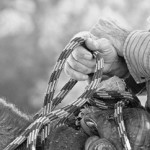 Photograph, Black & White: "Cattleman & Horse Trainer Hands" by Kay Speaks