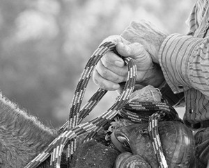 Photograph, Black & White: "Cattleman & Horse Trainer Hands" by Kay Speaks